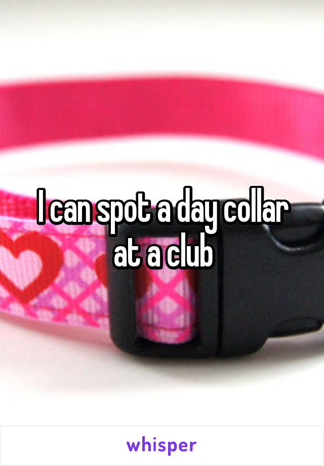 I can spot a day collar at a club