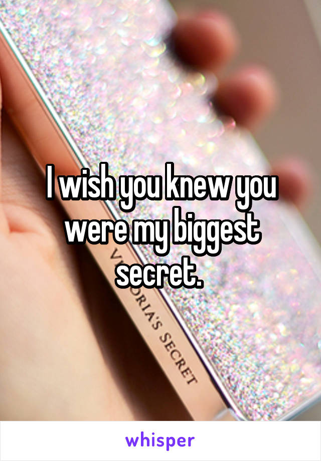 I wish you knew you were my biggest secret. 