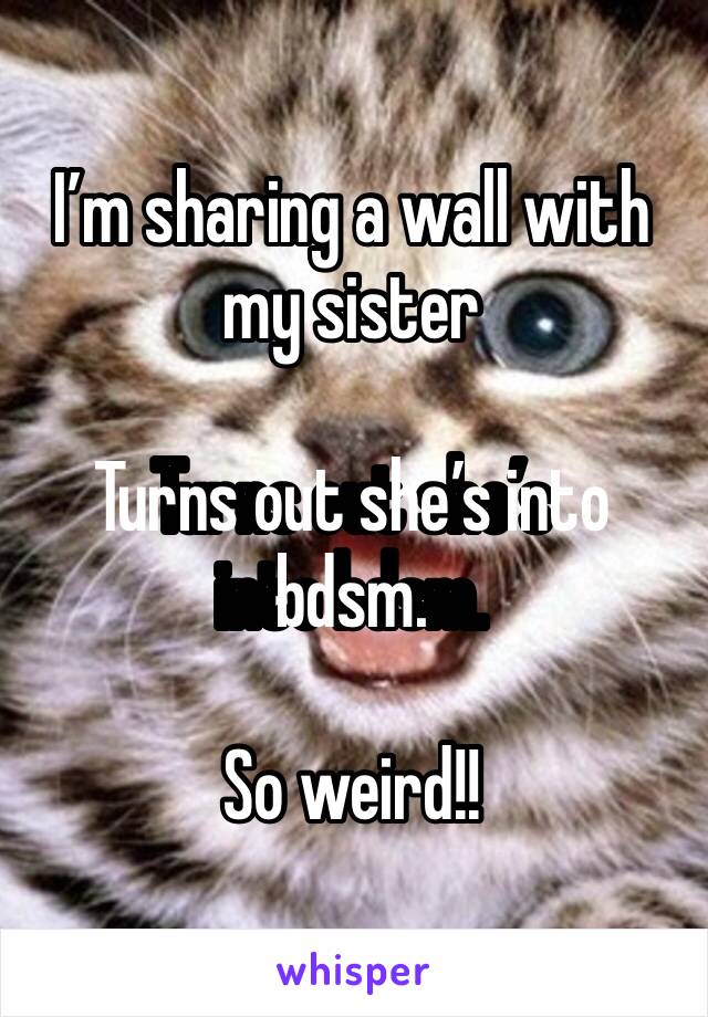 I’m sharing a wall with my sister

Turns out she’s into bdsm.

So weird!!