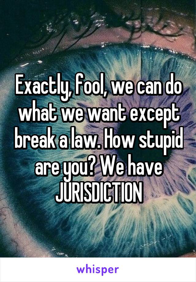 Exactly, fool, we can do what we want except break a law. How stupid are you? We have JURISDICTION