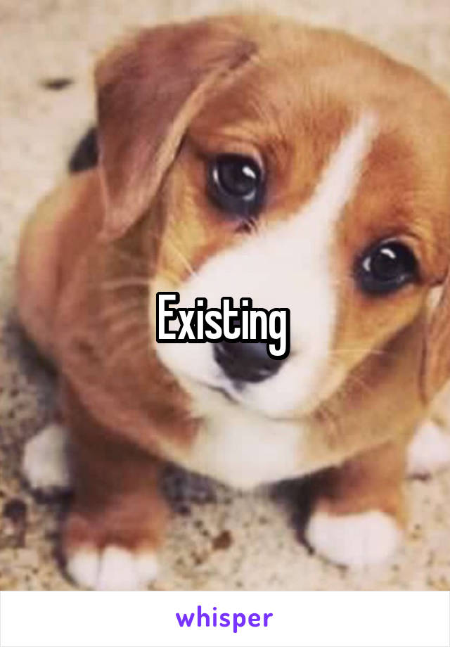 Existing 