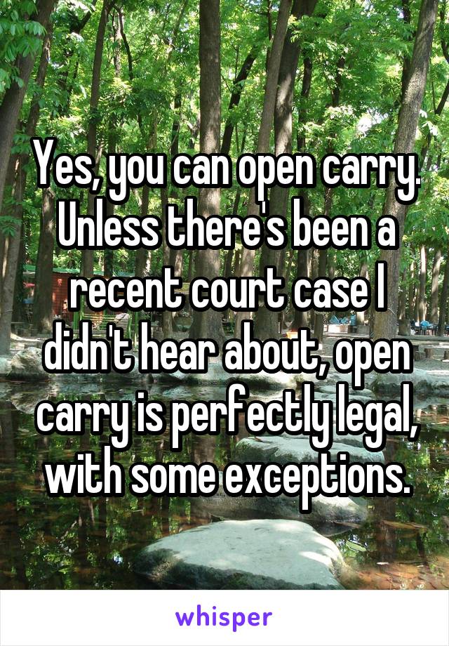 Yes, you can open carry. Unless there's been a recent court case I didn't hear about, open carry is perfectly legal, with some exceptions.