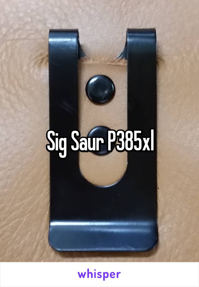 Sig Saur P385xl