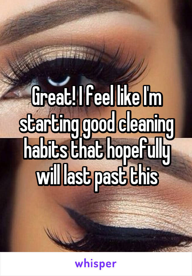 Great! I feel like I'm starting good cleaning habits that hopefully will last past this