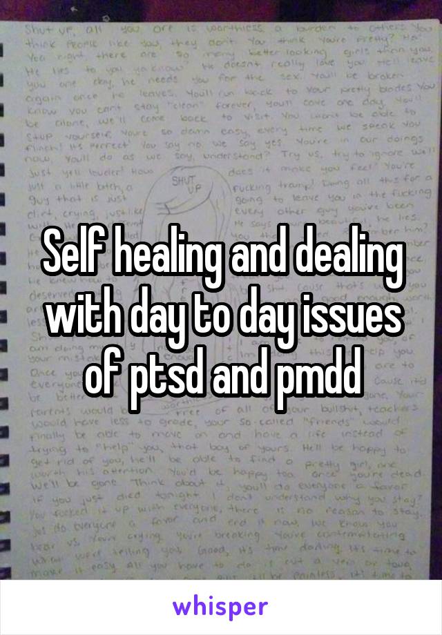 Self healing and dealing with day to day issues of ptsd and pmdd