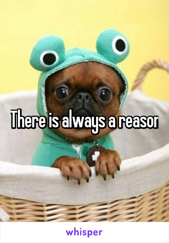 There is always a reason