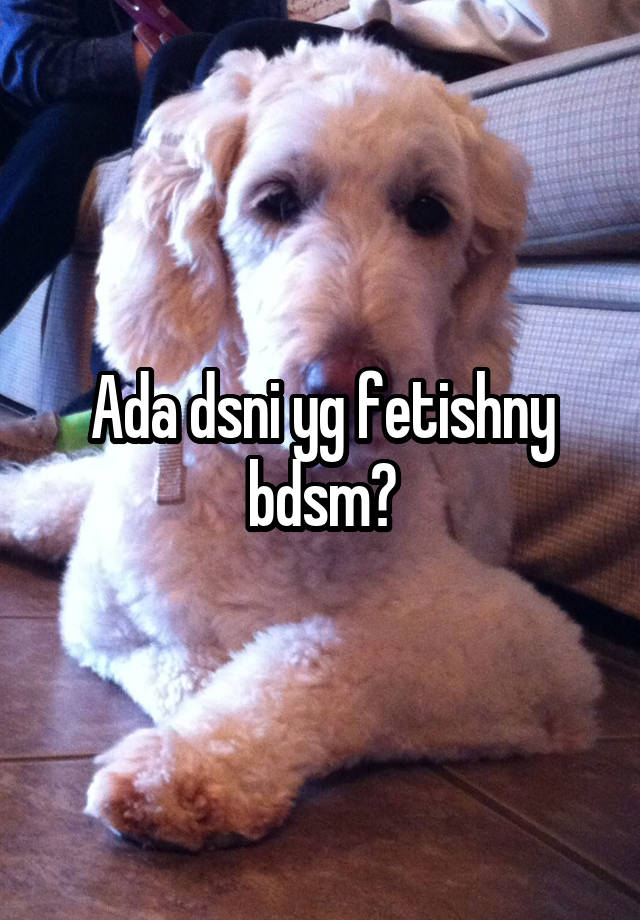 Ada dsni yg fetishny bdsm?