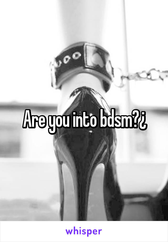 Are you into bdsm?¿