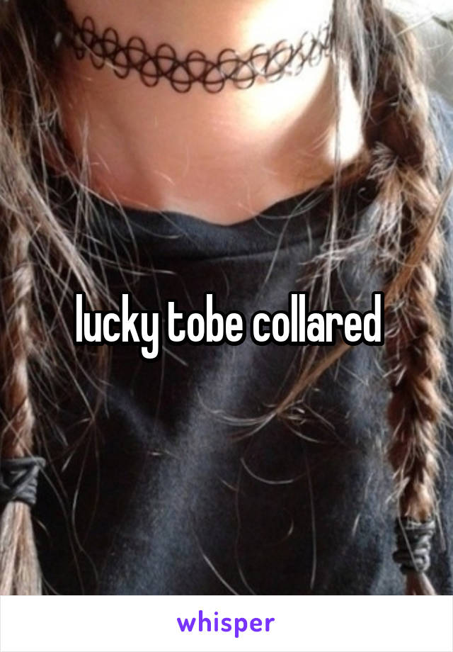 lucky tobe collared