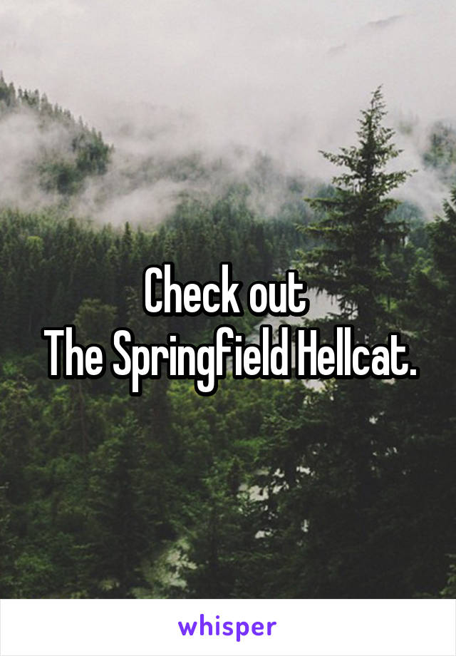 Check out 
The Springfield Hellcat.