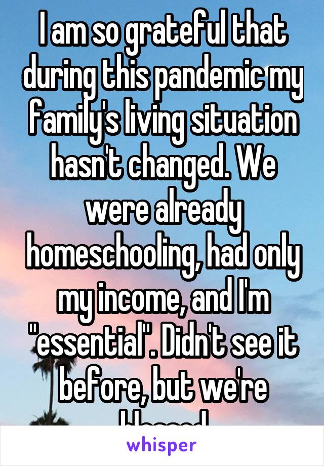 I am so grateful that during this pandemic my family's living situation hasn't changed. We were already homeschooling, had only my income, and I'm "essential". Didn't see it before, but we're blessed