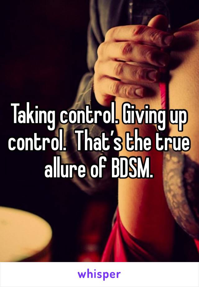 Taking control. Giving up control.  That’s the true allure of BDSM. 