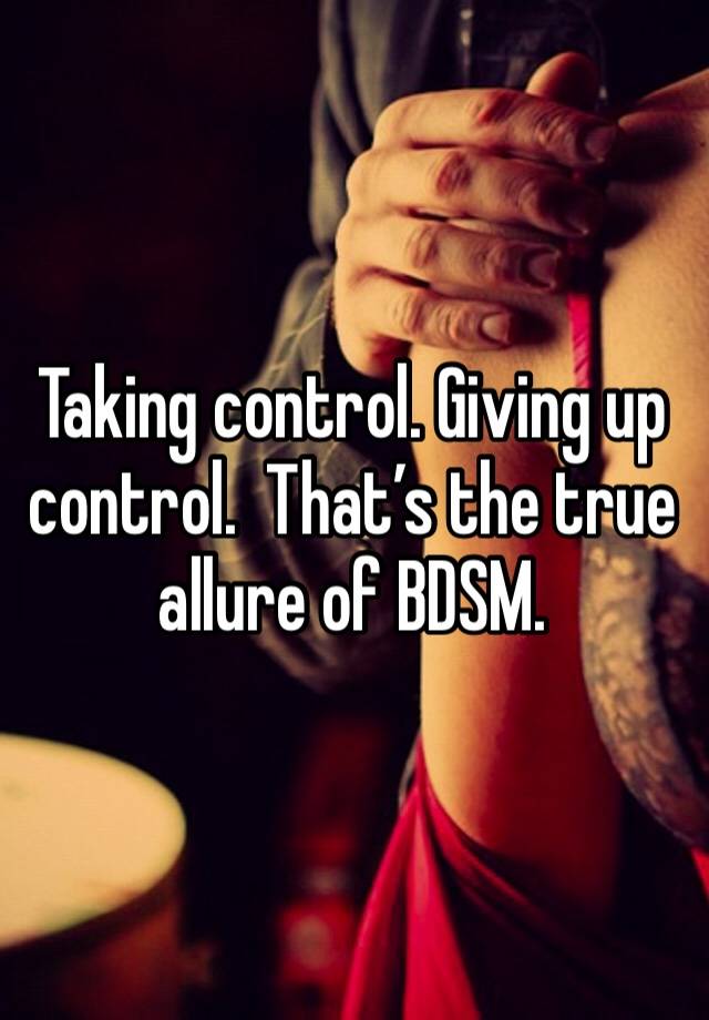 Taking control. Giving up control.  That’s the true allure of BDSM. 