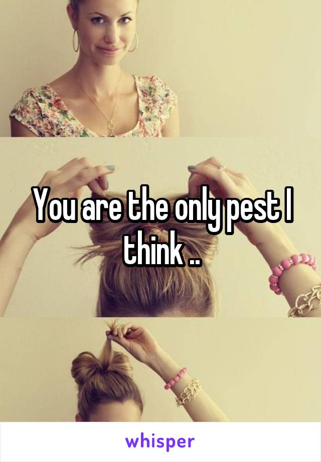 You are the only pest I think ..