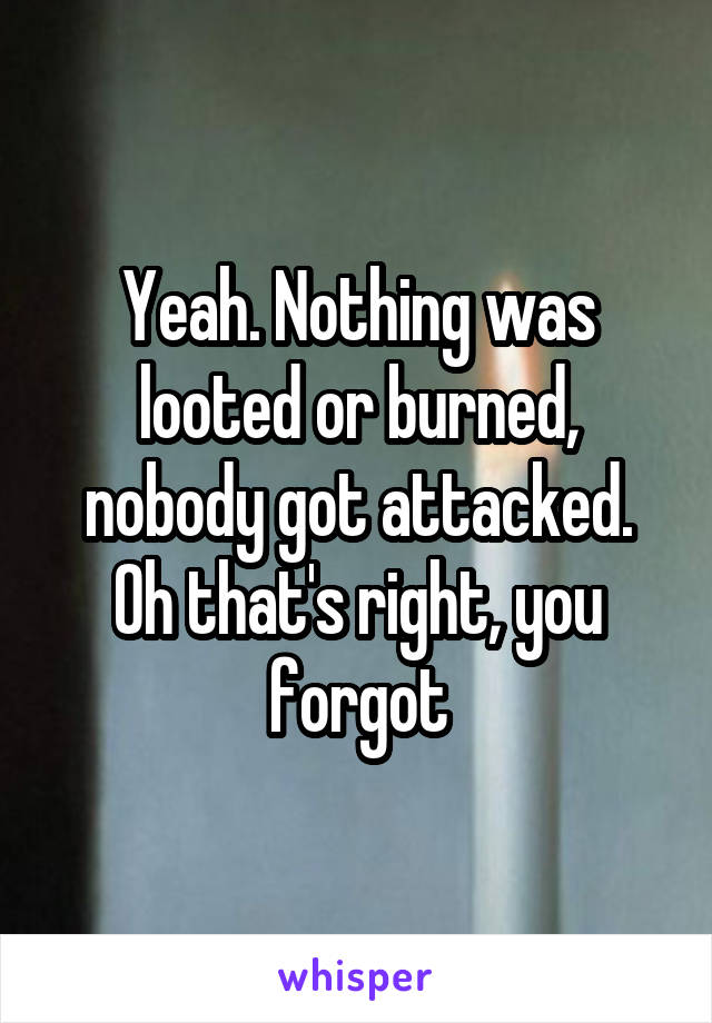 Yeah. Nothing was looted or burned, nobody got attacked.
Oh that's right, you forgot