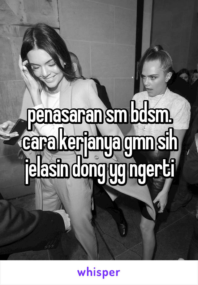 penasaran sm bdsm. cara kerjanya gmn sih jelasin dong yg ngerti