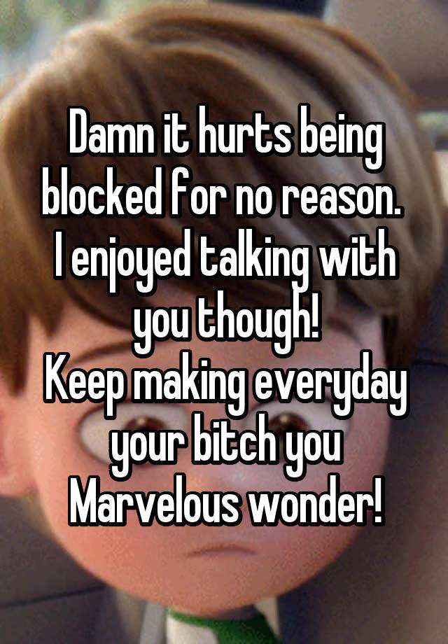 Damn it hurts being blocked for no reason. 
I enjoyed talking with you though!
Keep making everyday your bitch you Marvelous wonder!