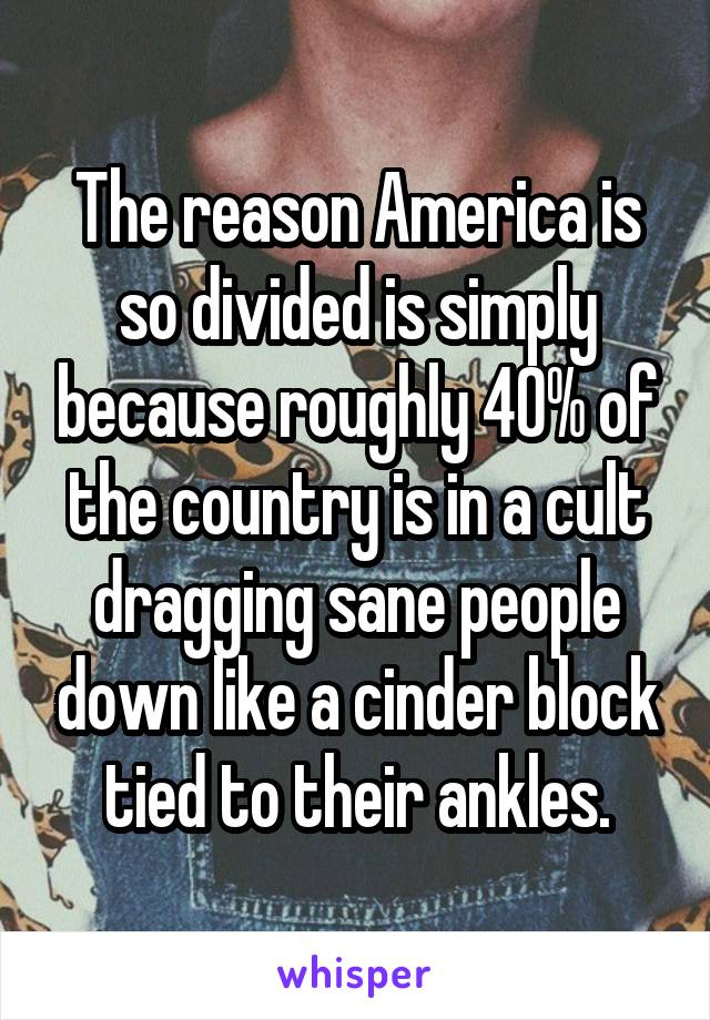 The reason America is so divided is simply because roughly 40% of the country is in a cult dragging sane people down like a cinder block tied to their ankles.