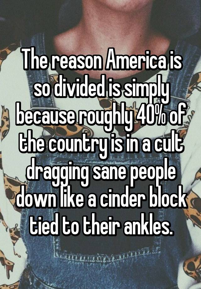 The reason America is so divided is simply because roughly 40% of the country is in a cult dragging sane people down like a cinder block tied to their ankles.