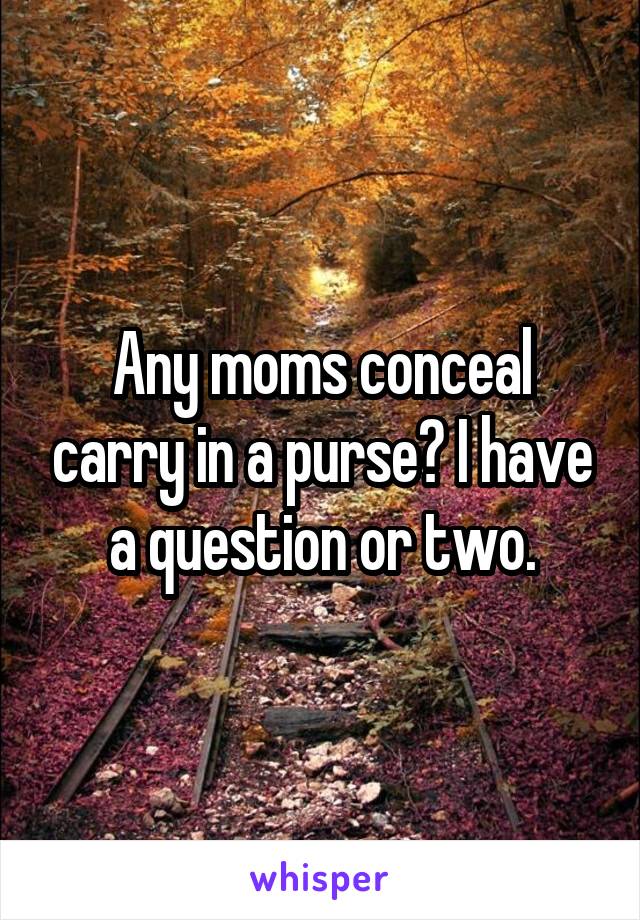 Any moms conceal carry in a purse? I have a question or two.