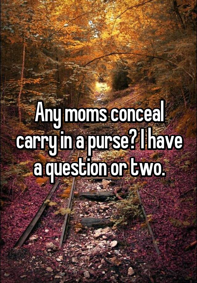 Any moms conceal carry in a purse? I have a question or two.