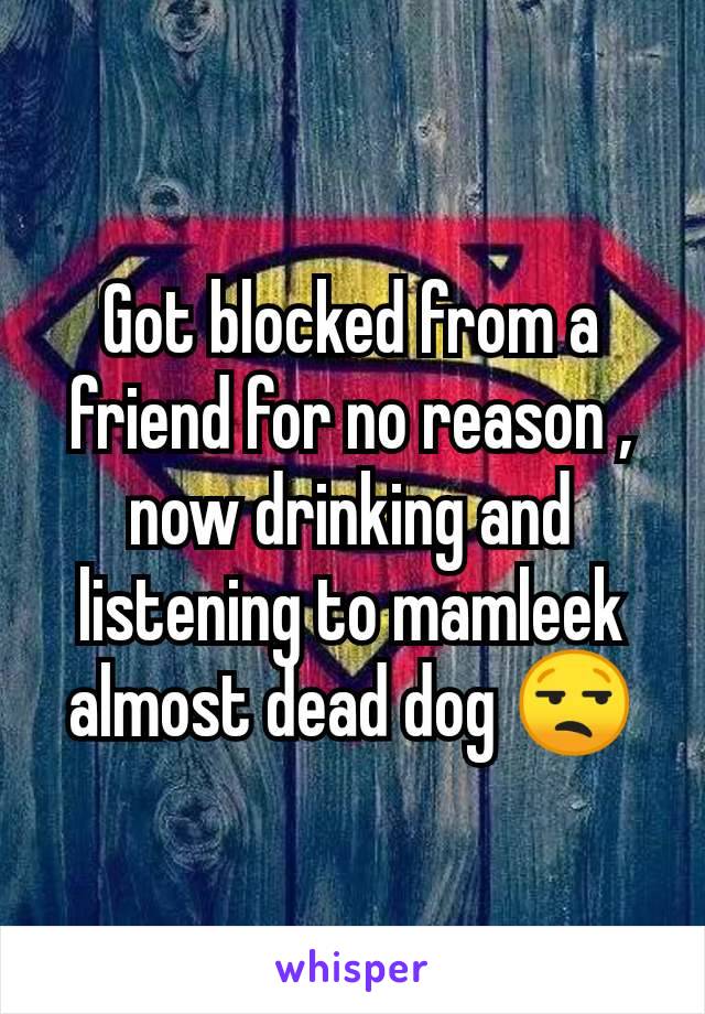 Got blocked from a friend for no reason , now drinking and listening to mamleek almost dead dog 😒