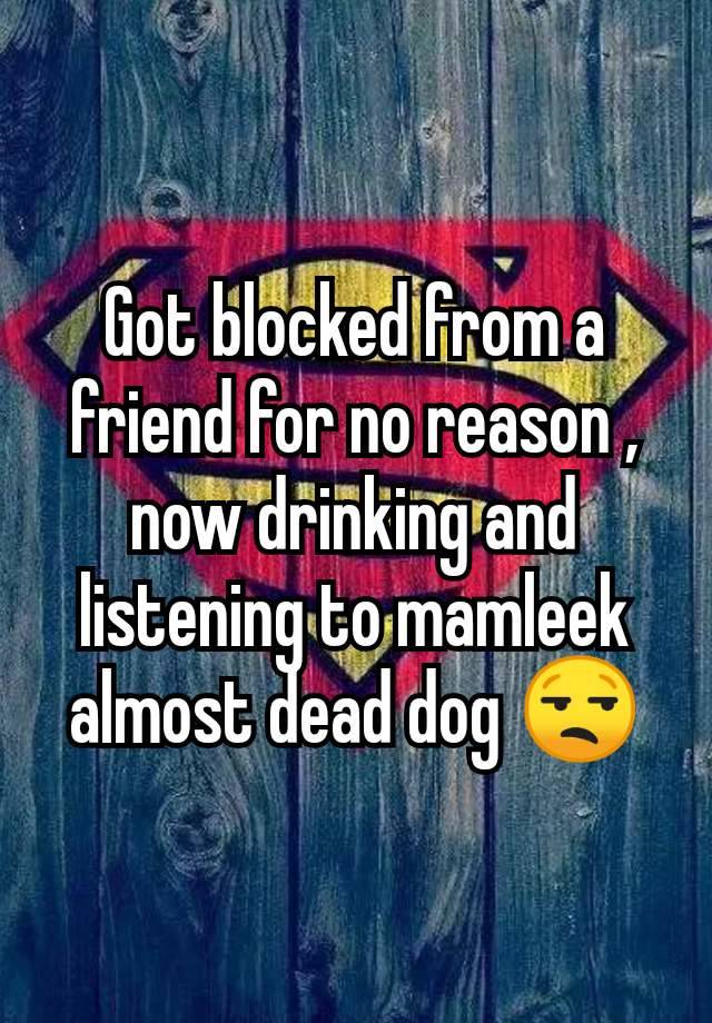 Got blocked from a friend for no reason , now drinking and listening to mamleek almost dead dog 😒