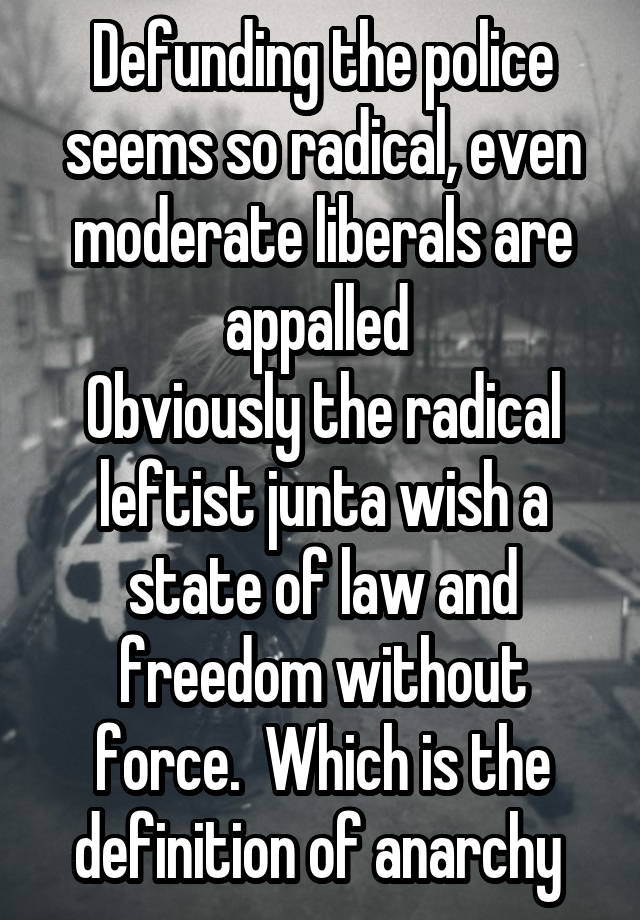 Defunding the police seems so radical, even moderate liberals are appalled 
Obviously the radical leftist junta wish a state of law and freedom without force.  Which is the definition of anarchy 