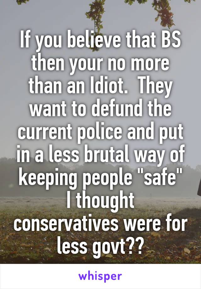 If you believe that BS then your no more than an Idiot.  They want to defund the current police and put in a less brutal way of keeping people "safe"
I thought conservatives were for less govt??