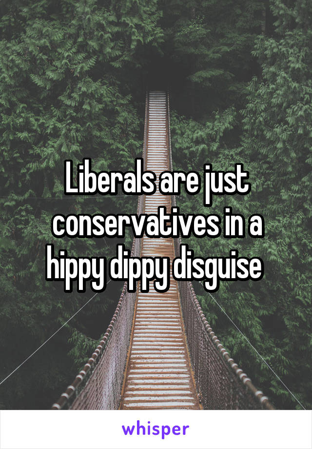 Liberals are just conservatives in a hippy dippy disguise 