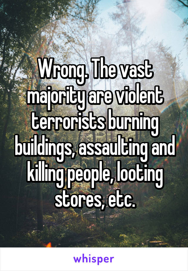 Wrong. The vast majority are violent terrorists burning buildings, assaulting and killing people, looting stores, etc.