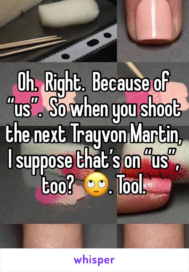 Oh.  Right.  Because of “us”.  So when you shoot the next Trayvon Martin, I suppose that’s on “us”, too?  🙄. Tool.