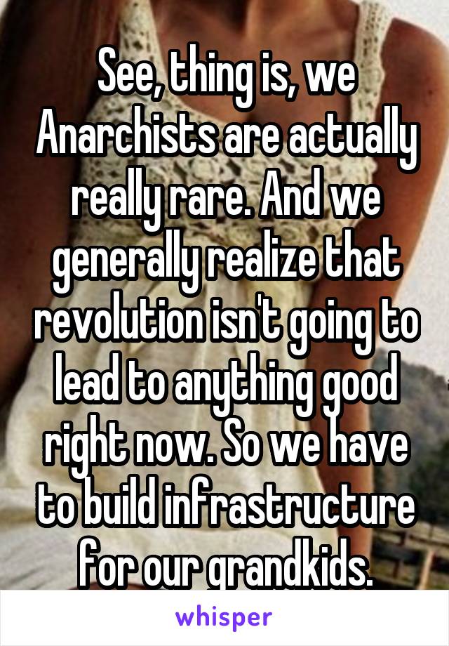 See, thing is, we Anarchists are actually really rare. And we generally realize that revolution isn't going to lead to anything good right now. So we have to build infrastructure for our grandkids.