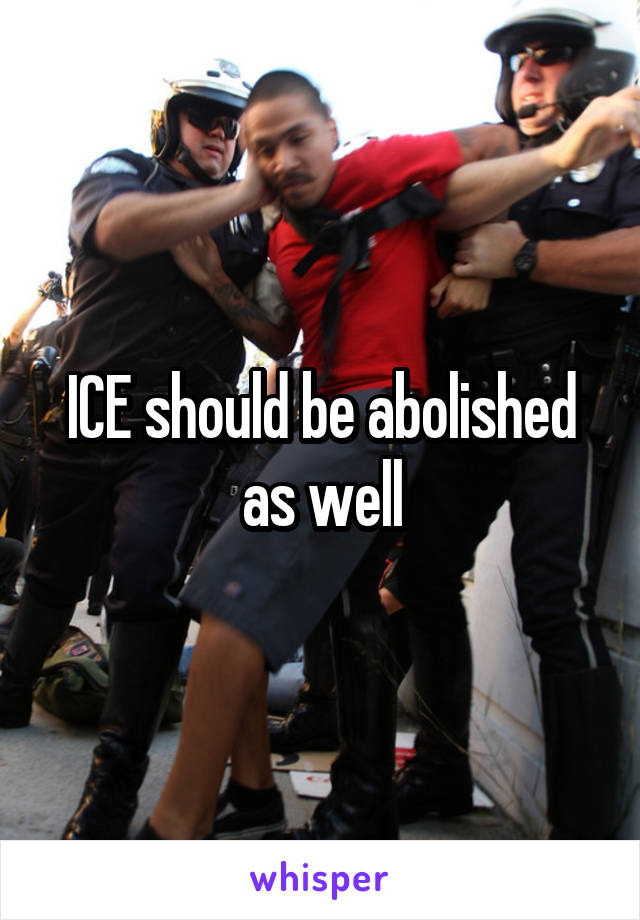 ICE should be abolished as well