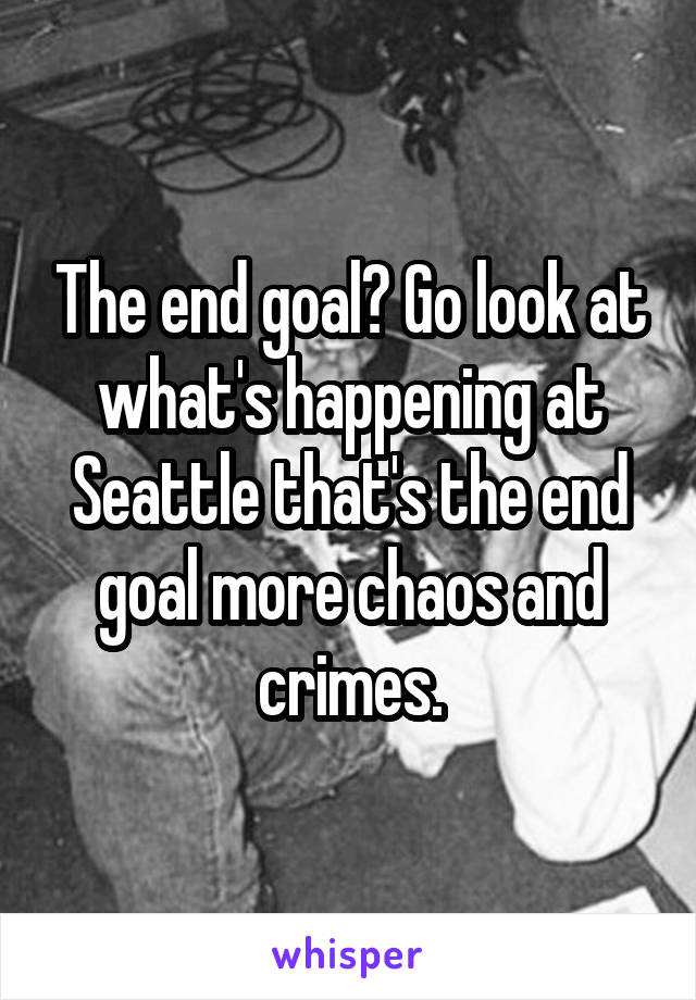 The end goal? Go look at what's happening at Seattle that's the end goal more chaos and crimes.