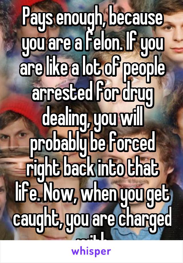 Pays enough, because you are a felon. If you are like a lot of people arrested for drug dealing, you will probably be forced right back into that life. Now, when you get caught, you are charged with