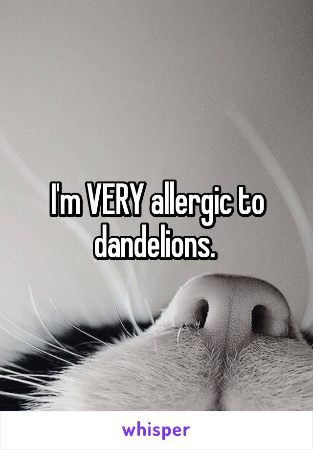 I'm VERY allergic to dandelions. 