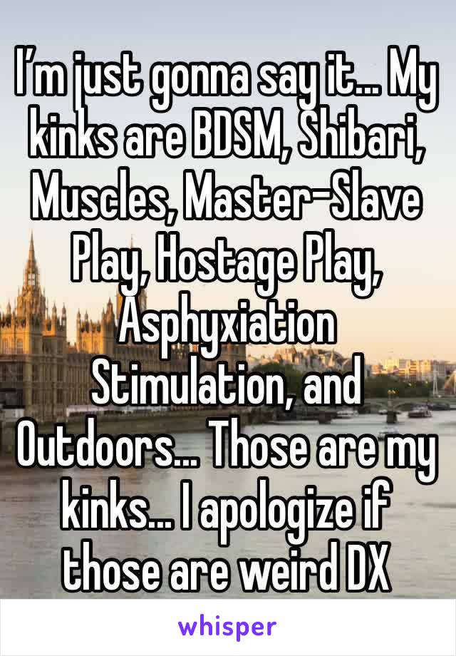 I’m just gonna say it... My kinks are BDSM, Shibari, Muscles, Master-Slave Play, Hostage Play, Asphyxiation Stimulation, and Outdoors... Those are my kinks... I apologize if those are weird DX