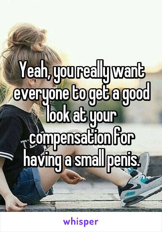 Yeah, you really want everyone to get a good look at your compensation for having a small penis.