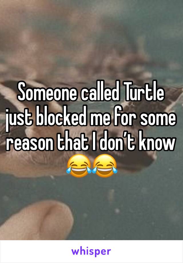 Someone called Turtle just blocked me for some reason that I don’t know 😂😂