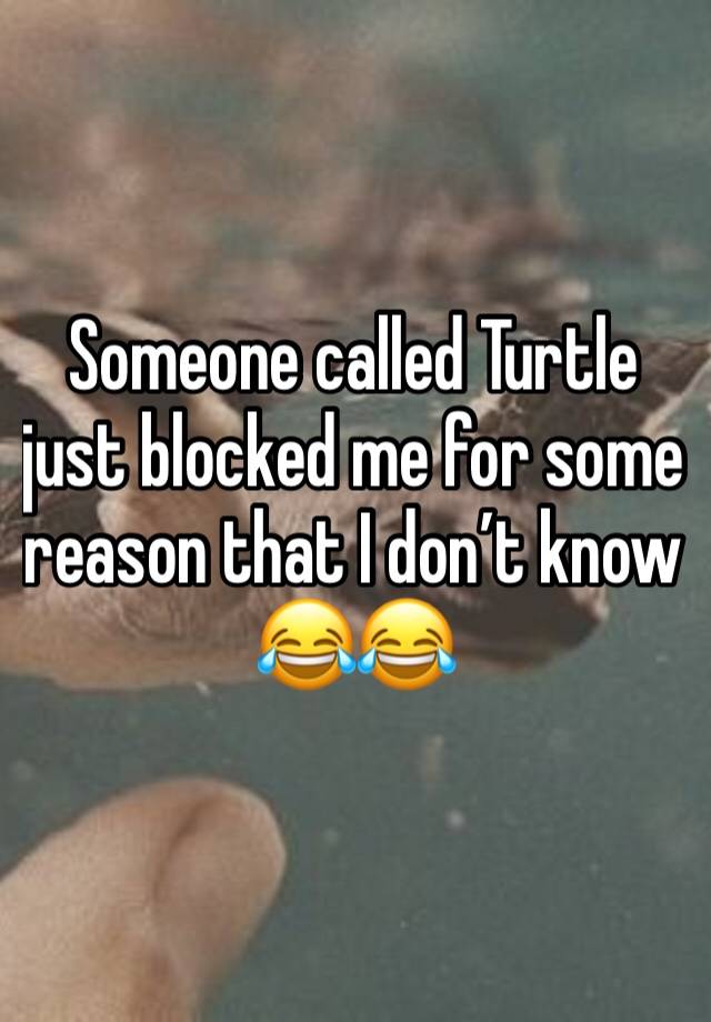 Someone called Turtle just blocked me for some reason that I don’t know 😂😂