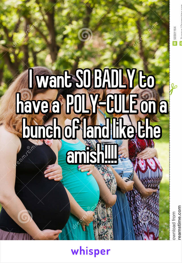 I want SO BADLY to have a  POLY-CULE on a bunch of land like the amish!!!!

