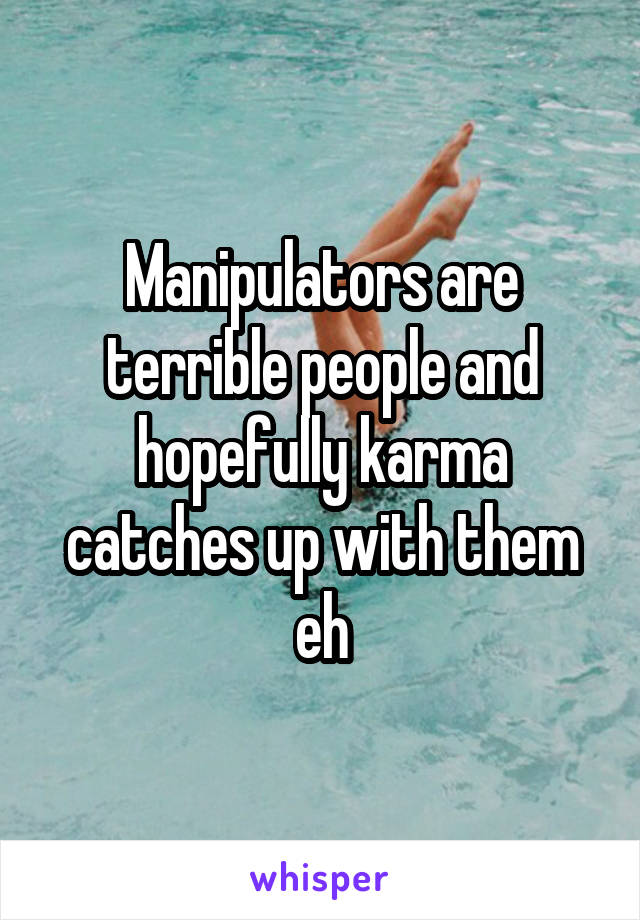 Manipulators are terrible people and hopefully karma catches up with them eh