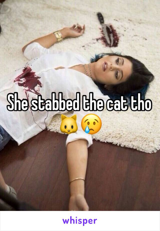 She stabbed the cat tho 🐱😢