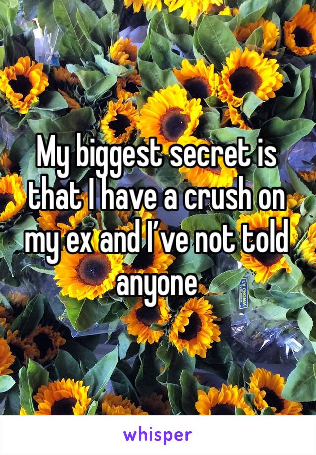 My biggest secret is that I have a crush on my ex and I’ve not told anyone