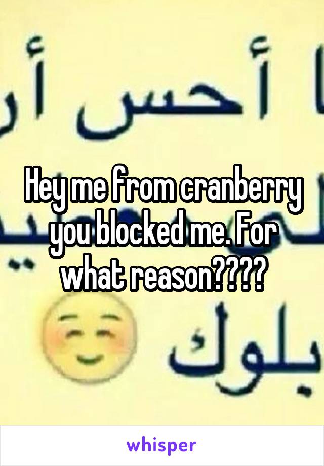 Hey me from cranberry you blocked me. For what reason????