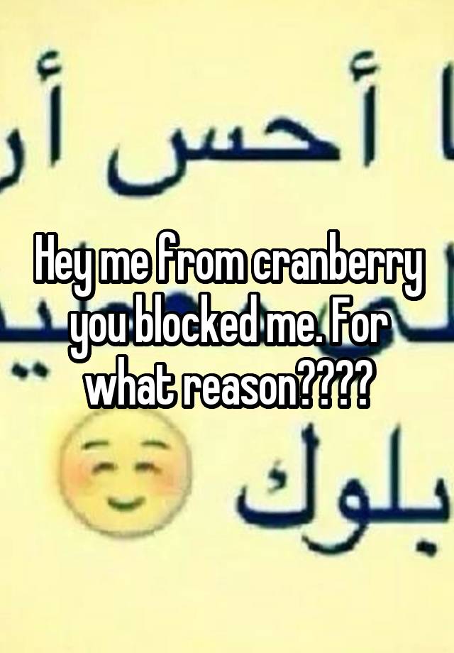 Hey me from cranberry you blocked me. For what reason????