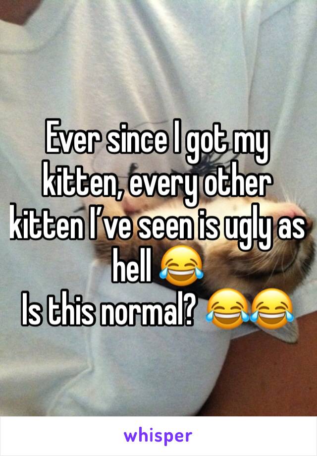 Ever since I got my kitten, every other kitten I’ve seen is ugly as hell 😂 
Is this normal? 😂😂