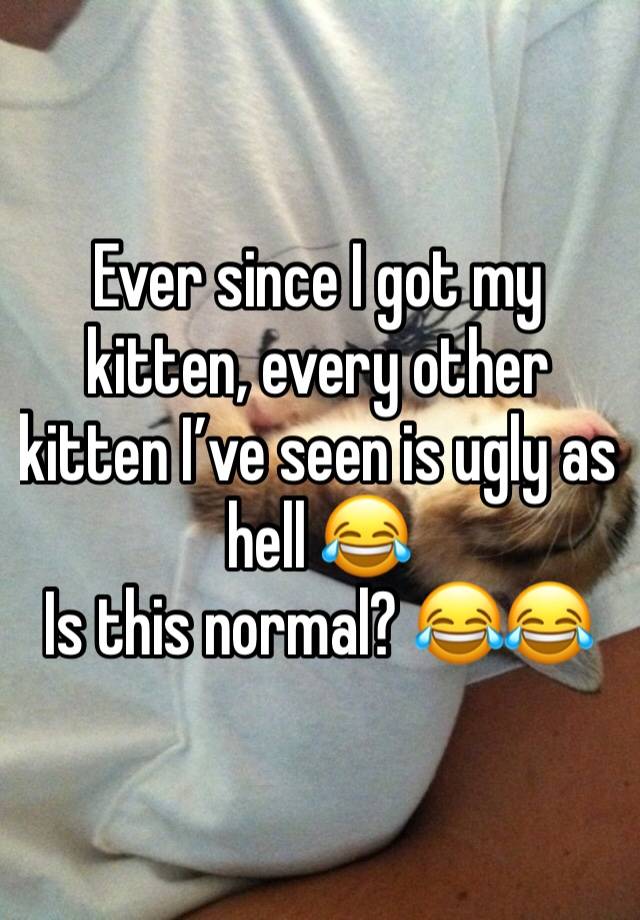 Ever since I got my kitten, every other kitten I’ve seen is ugly as hell 😂 
Is this normal? 😂😂