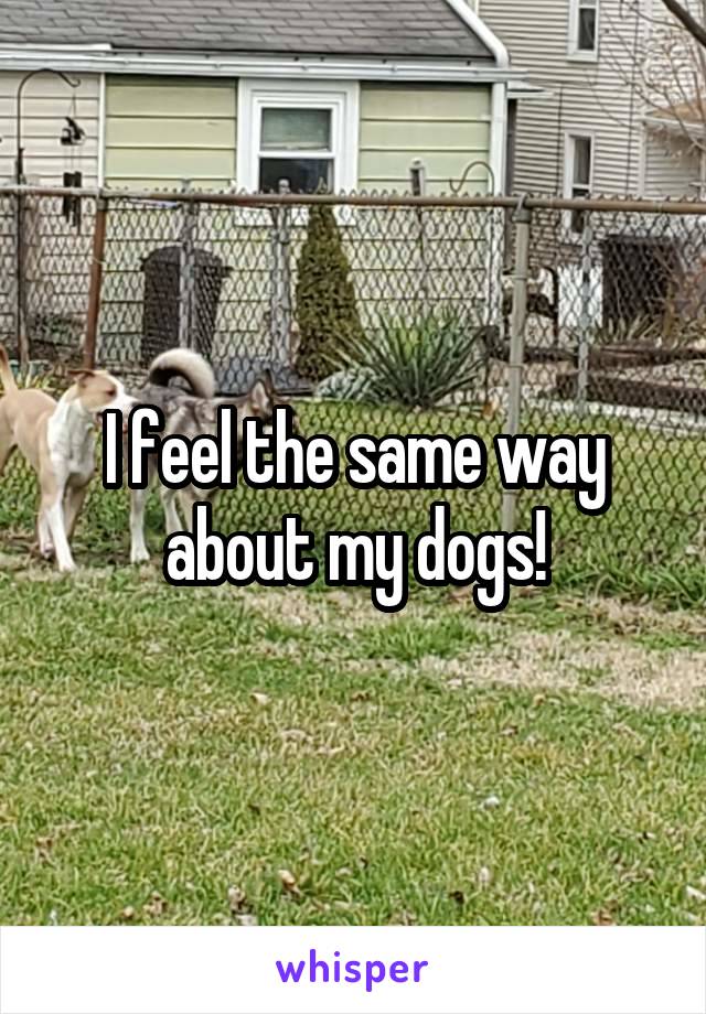 I feel the same way about my dogs!